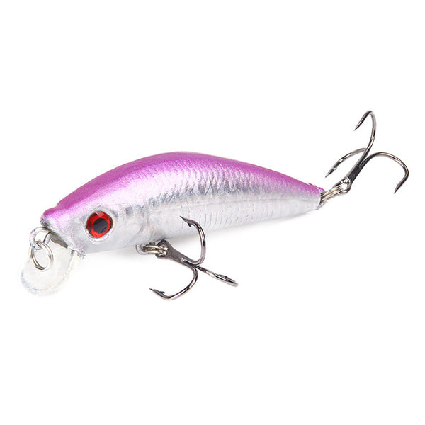 SEAPESCA Plastic Hardbody